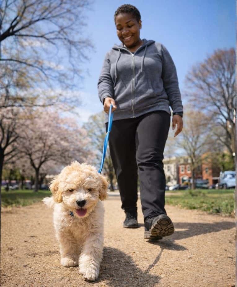 Owner of Saving Fido Tracy walking dog in Capitol Hill