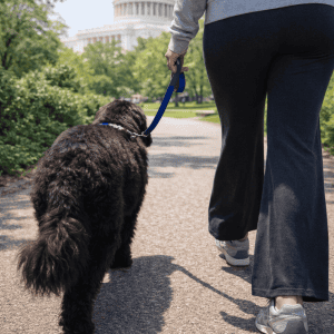 Saving Fido - Capitol Hill- Standard Walk
